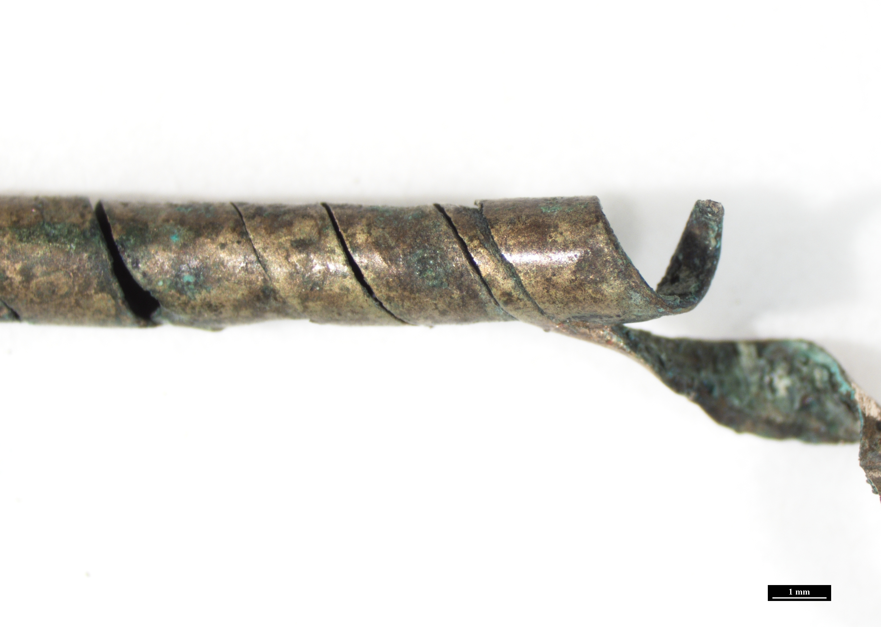 Mapungubwe Beyond the Golden Rhino: Inferring Local Dynamics for Southern Africa’s First State through the Provenance of Copper and Bronze