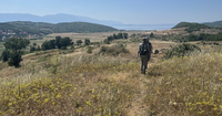 View across a dry, grassy hillside toward Lake Ohrid, with two people walking along a narrow path in the foreground and low mountains