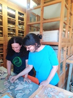 a photo of two women standing and smiling looking at ceramic artifacts and materials