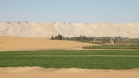 Photo of the Dakhla Oasis showing the dramatic distinction between the grassy oasis and the sands and escarpment of the surrounding desert