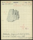 33. Field card: head of a female figure