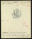 38. Field object card, Khafajah: head of a female figure