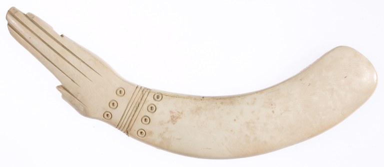 Ivory carving in the shape of an elongated and curved hand and forearm.