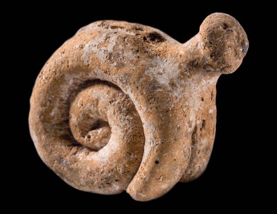 Snail with Anthropomorphic Head