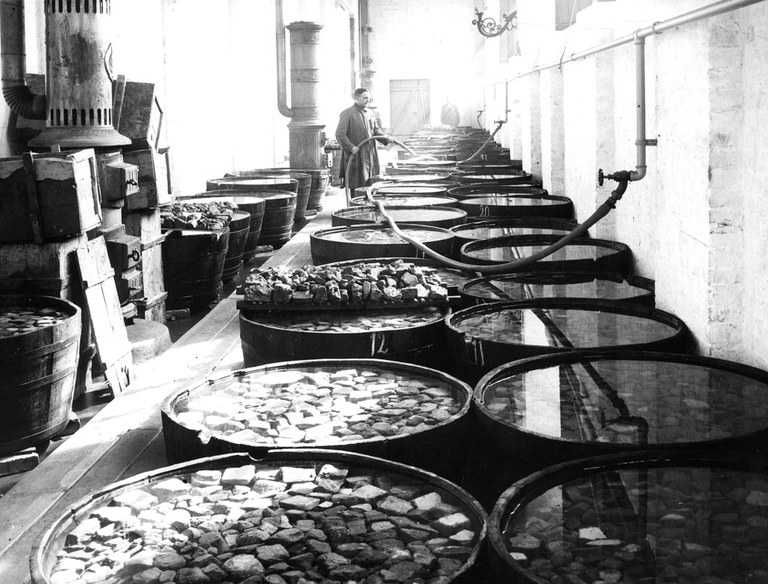 Black and white photograph showing the desalination process of unglazed bricks fragments. The fragments are placed in large tub of liquid.
