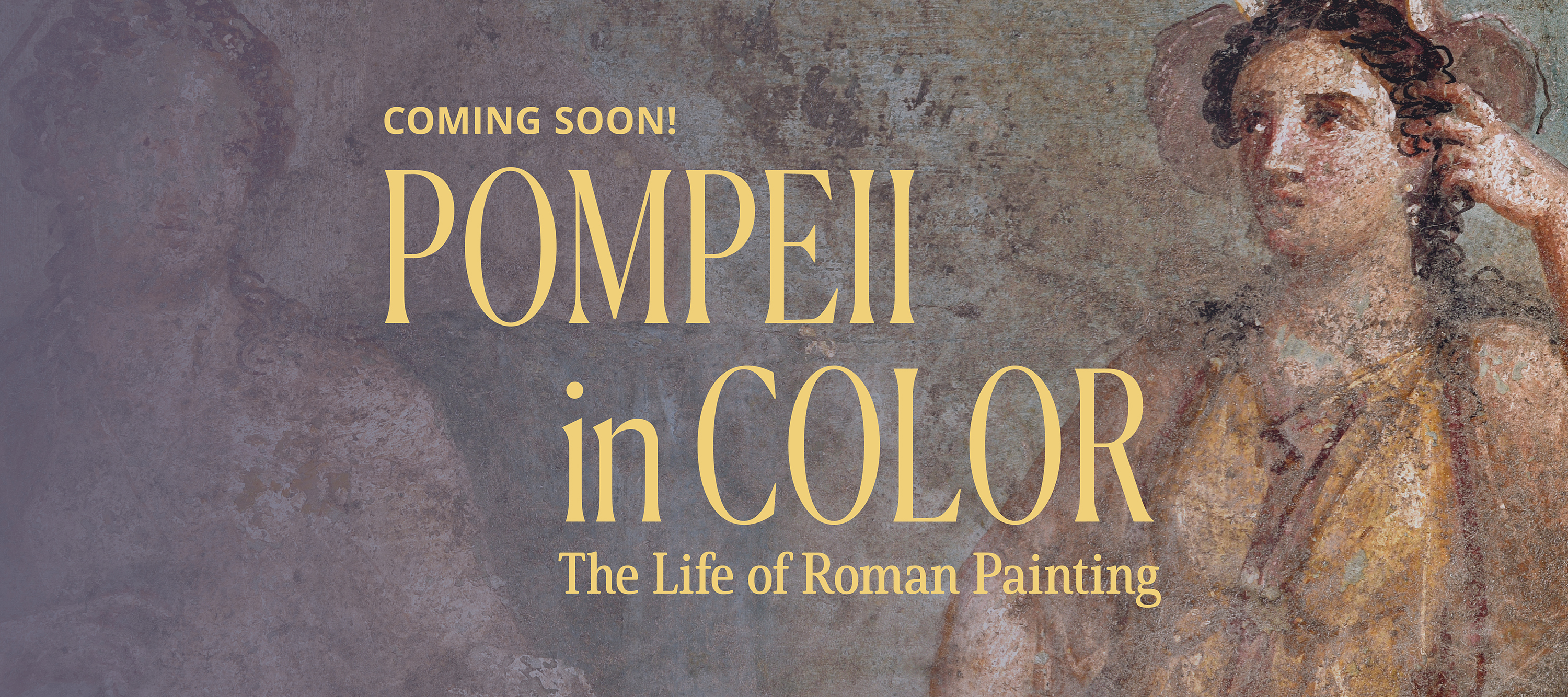Announcing the next upcoming exhibition, Pompeii in Color, The Life of Roman Painting