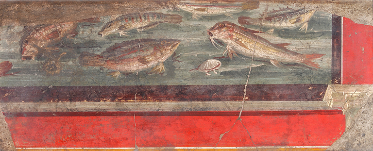 Six fish, a turtle, and a clam are shown in a body of water. This fragment of a fresco has a rectangular border in red at the bottom and right.