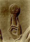 45. Detail of a Relief of a Hand Holding a Flower Bud, Persepolis