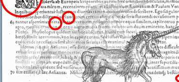 Interning in the ISAW Library: Developing an Error Correction Dataset for Latin Texts