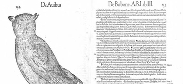 Interning in the ISAW Library: Extending (and Reimagining) an Error Correction Dataset for Latin Texts 