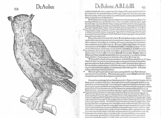 Detail from the "De bubone" (About the owl) section of Gesner's Historiae Animalium, including a woodcut of the bird.