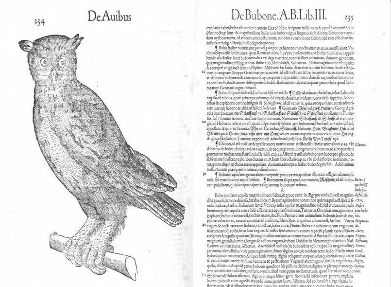Interning in the ISAW Library: Extending (and Reimagining) an Error Correction Dataset for Latin Texts 