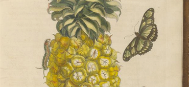 ISAW Library Internship Report: Expanding a Linguistic Dataset of Women-authored Latin