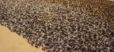 "...circle through New York" Brings Felix Gonzalez-Torres Sculpture to ISAW