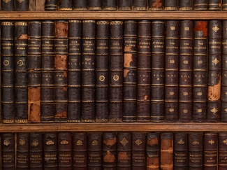 Close-up photo of books on a shelf