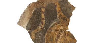 VRS Zeev Weiss Uncovers Hundreds of Roman Fresco Fragments in Israel 
