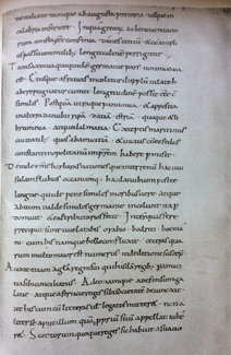 Photograph of a page from a manuscript. The page is light gray in color. The text is written in an attractive hand with black ink in straight lines with ample space between them.