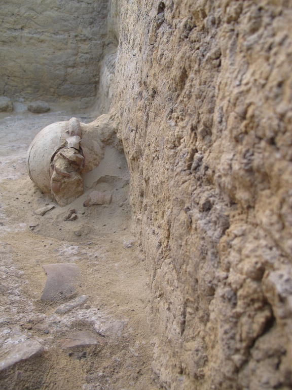 Photograph of an excavated stone wall and partially excavated floor, showing a ceramic object still embedded in the ground.