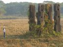 lectures pillars