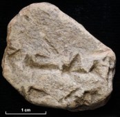 Fragmentary cuneiform inscription from Gird-i Rostam