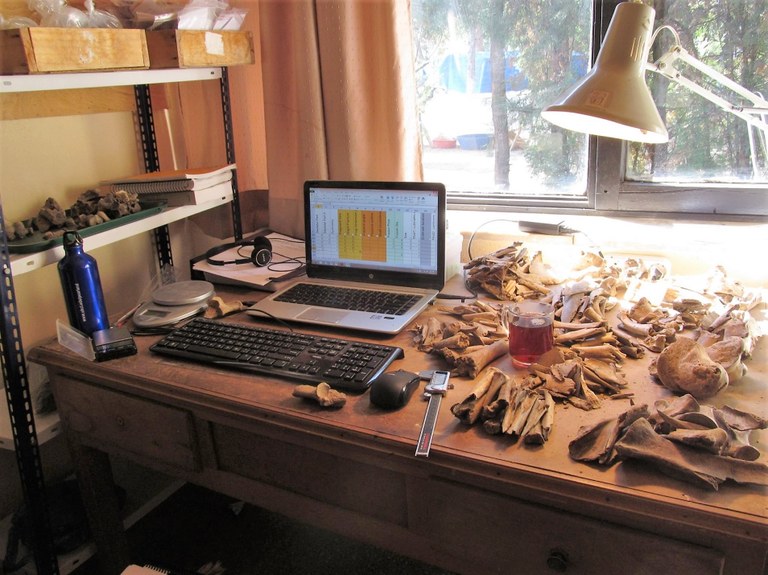 Author's desk at the Hattuşa dig house, Turkey