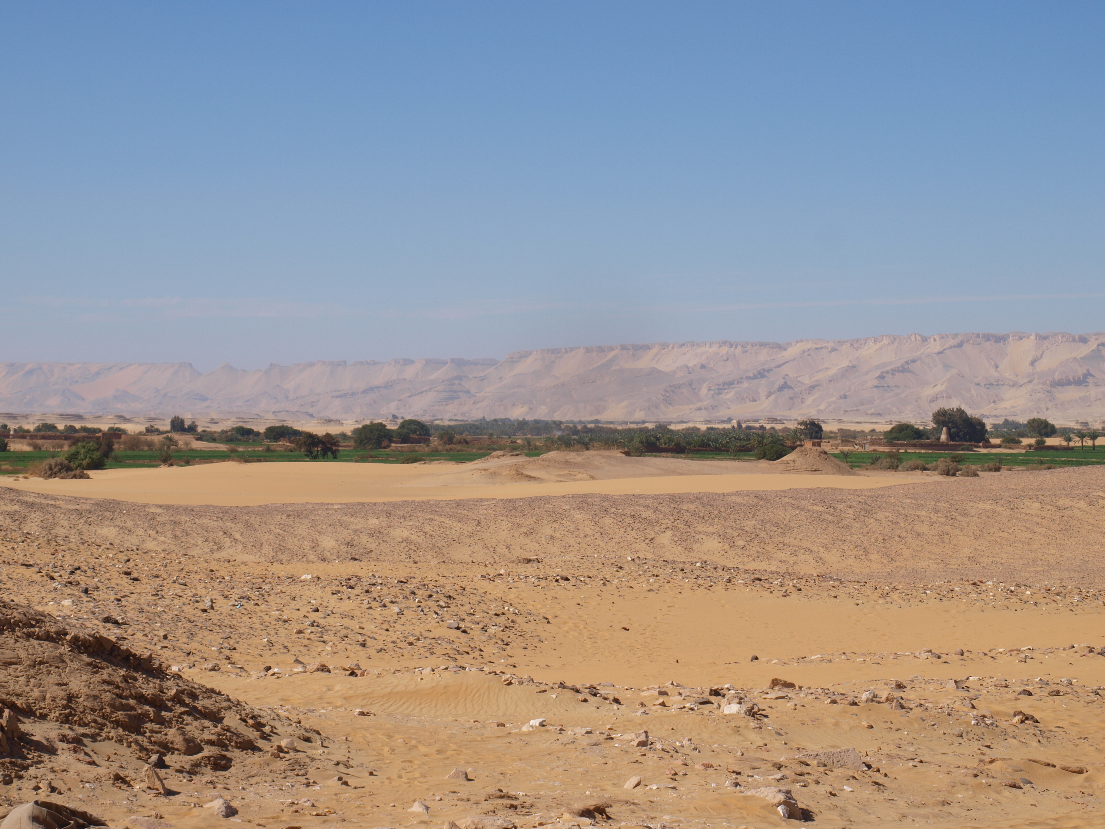 Landscape view of the site of Amheida. The foreground shows scatters ceramics and agricultural fields. The escarpment is visible in the background.