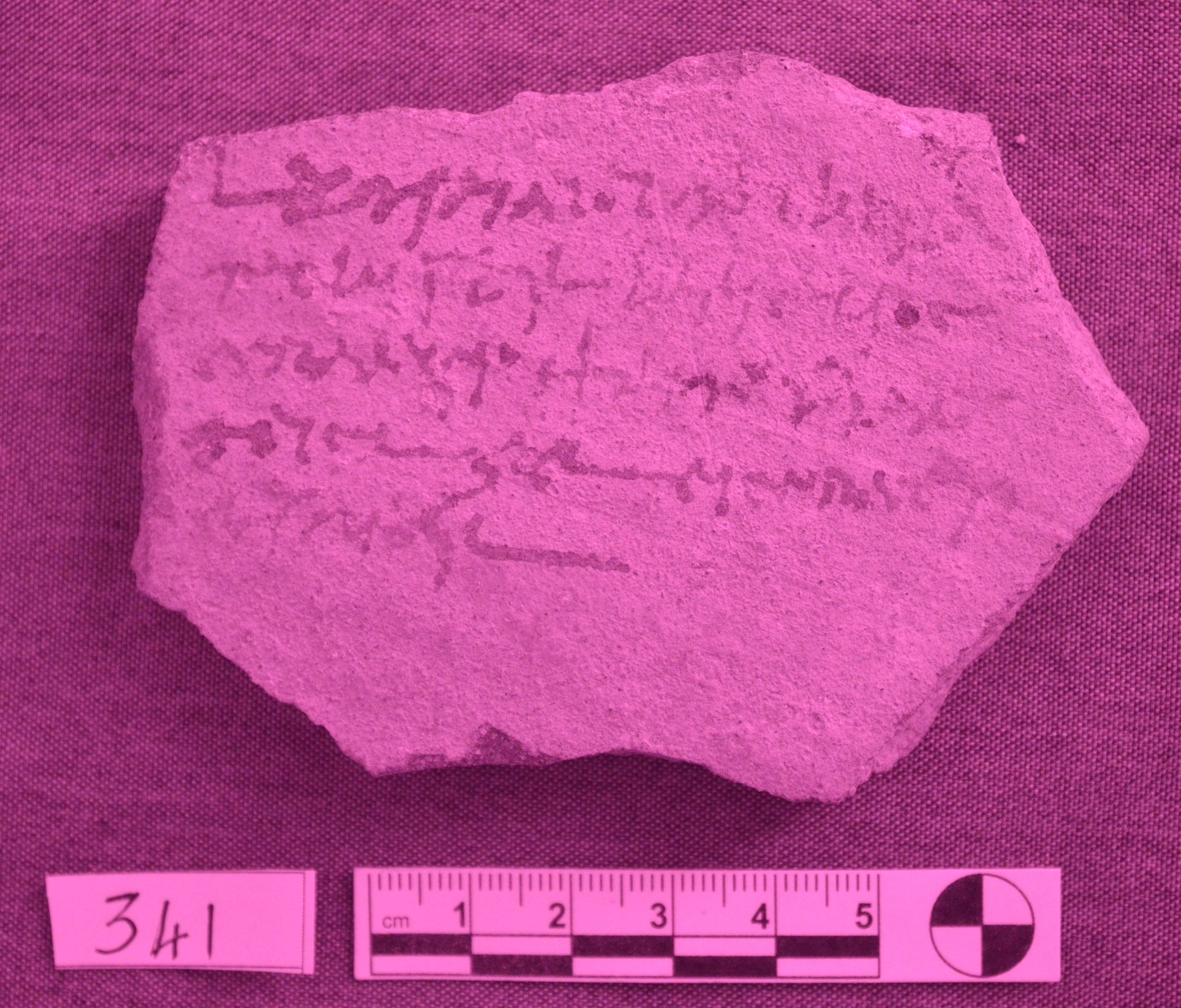 Infrared image of ostracon