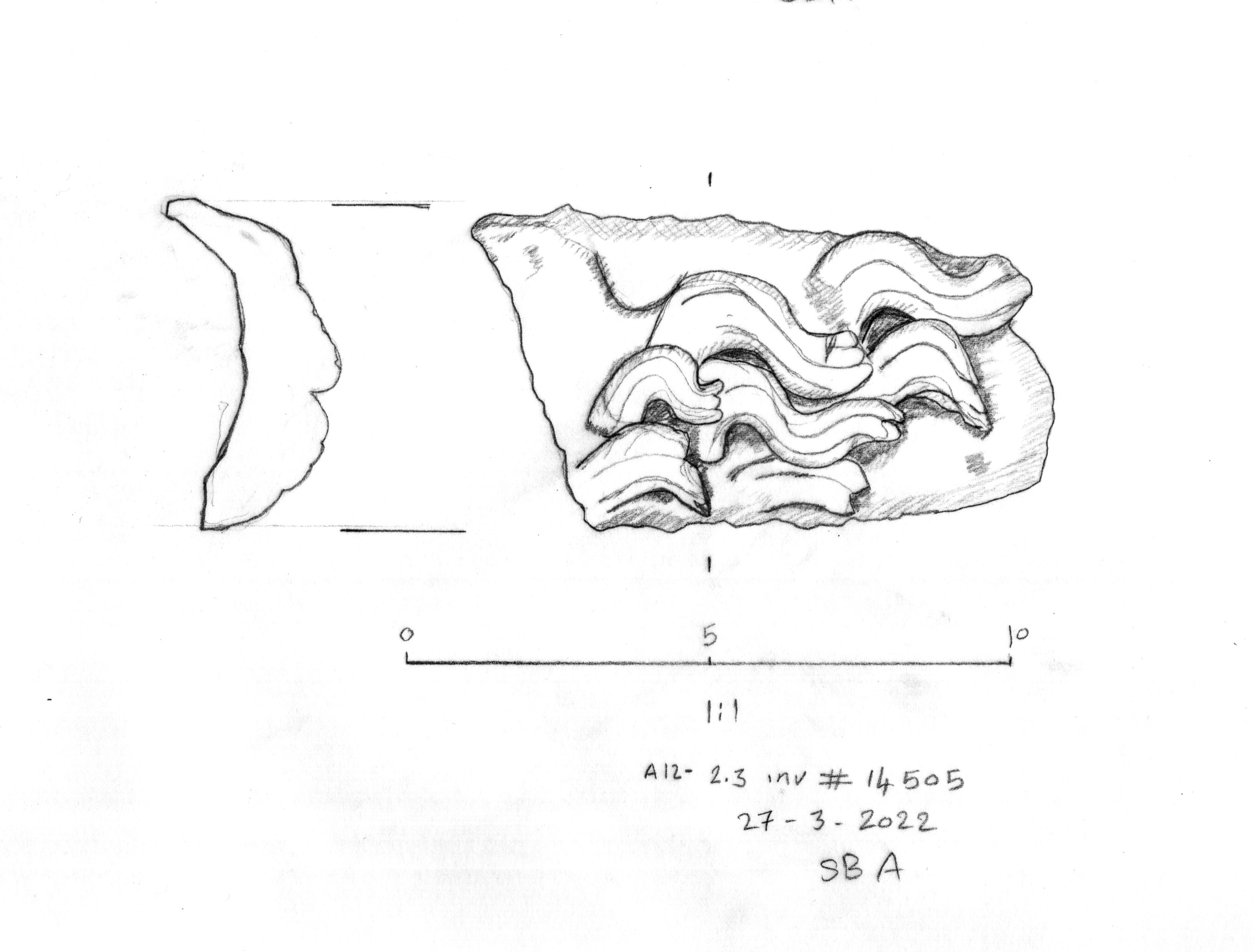 line drawing of statue fragment
