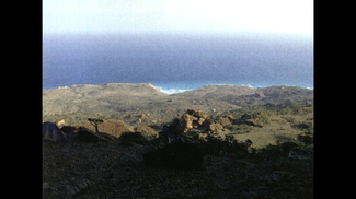 Fig. 48d: View from the Cave
