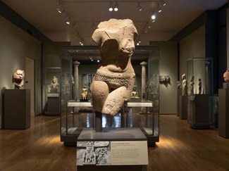 Fig. 59a: View of the yakshi in the South Asian Gallery at the MFA